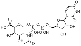 URIDINE DIPHOSPHATE N-ACETYL-D-GALACTOSAMINE, [GALACTOSAMINE-6-3H(N)] Structure