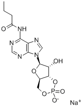 Adenosine, N-(1-oxobutyl)-, cyclic 3',5'-(hydrogen phosphate), sodium salt 구조식 이미지