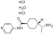 (R)-(+)-trans-4-(1-Aminoethyl)-N-(4-pyridyl)cyclohexanecarboxamide Dihydrochloride Monohydrate 구조식 이미지