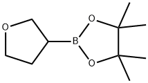 TETRAHYDROFURAN-3-BORONIC ACID PINACOL ESTER Structure
