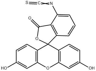 3',6'-Dihydroxy-6-isothiocyanatospiro[isobenzofuran-1(3H),9'-[9H]xanthen]-3-one 구조식 이미지