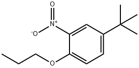 4-tert-Butyl-2-nitrophenyl propyl ether Structure