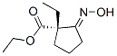 Cyclopentanecarboxylic acid, 1-ethyl-2-(hydroxyimino)-, ethyl ester, (1S)- (9CI) Structure