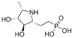 Phosphonic acid, [2-[(2R,3R,4R,5S)-3,4-dihydroxy-5-methyl-2-pyrrolidinyl]ethyl]- (9CI) Structure