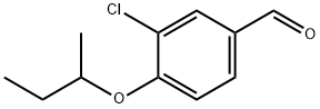 CHEMBRDG-BB 6457595 Structure