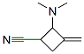 Cyclobutanecarbonitrile, 2-(dimethylamino)-3-methylene- (9CI) Structure