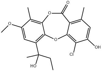 RUBININ Structure