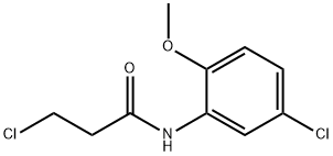 3-CHLORO-N-(5-CHLORO-2-METHOXYPHENYL)PROPANAMIDE Structure