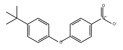 4-NITRO-4'-T-BUTYL DIPHENYL ETHER Structure