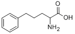 2-amino-5-phenylpentanoic acid Structure