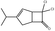 7,7-Dichloro-3-isopropylbicyclo[3.2.0]hept-2-en-6-one Structure