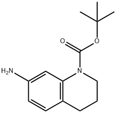 351324-70-4 tert-butyl 7-amino-3,4-dihydroquinoline-1(2H)-carboxylate