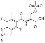 4-Azido-2,3,5,6-tetrafluorobenzamidocysteine Methanethiosulfonate 구조식 이미지