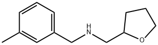 (3-METHYL-BENZYL)-(TETRAHYDRO-FURAN-2-YLMETHYL)-AMINE Structure