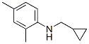 Benzenamine, N-(cyclopropylmethyl)-2,4-dimethyl- (9CI) Structure