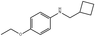 Benzenamine, N-(cyclobutylmethyl)-4-ethoxy- (9CI) Structure