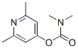 N,N-디메틸카르밤산2,6-디메틸-4-피리딜에스테르 구조식 이미지