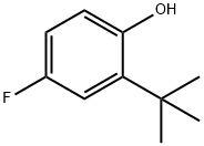 2-tert-butyl-4-fluorophenol Structure