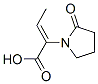 1-피롤리딘아세트산,알파-에틸리덴-2-옥소-,(alphaZ)-(9CI) 구조식 이미지