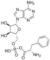 phenylalanyl adenylate Structure