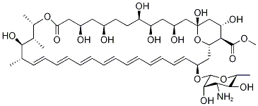 AmphotericinB Structure