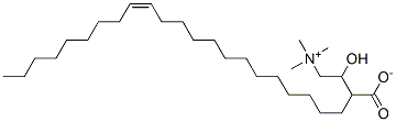 erucylcarnitine Structure