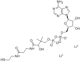3'-DEPHOSPHOCOENZYME A Structure