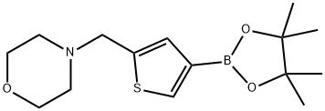 4-([4-(4,4,5,5-TETRAMETHYL-1,3,2-DIOXABOROLAN-2-YL)THIEN-2-YL]METHYL)MORPHOLINE Structure