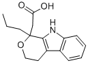 Prodolic Structure