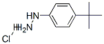 4-tert-Butylphenylhydrazine hydrochloride 구조식 이미지
