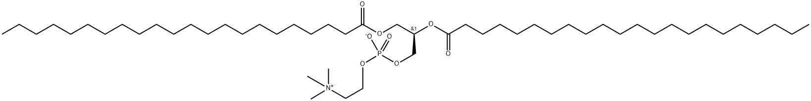 1,2-DIDOCOSANOYL-SN-GLYCERO-3-PHOSPHOCHOLINE Structure