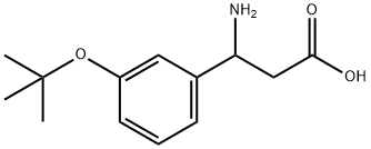 3-AMino-3-(3-tert-butoxyphenyl)propanoic Acid Structure