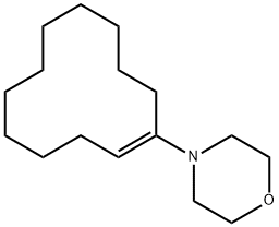 3725-39-1 1-Morpholinocyclododecene