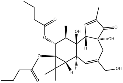 PHORBOL 12,13-DIBUTYRATE Structure