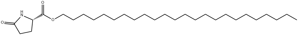 tetracosyl 5-oxo-L-prolinate Structure