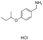 4-(SEC-BUTOXY)PHENYL]METHANAMINE HYDROCHLORIDE Structure