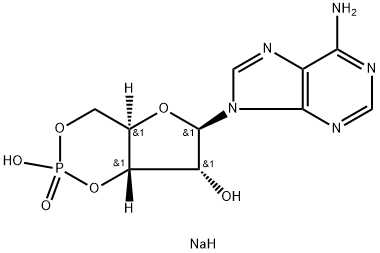 Adenosine 3',5'-cyclic monophosphate sodium salt 구조식 이미지