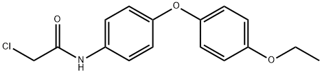 2-CHLORO-N-[4-(4-ETHOXYPHENOXY)PHENYL]ACETAMIDE Structure