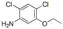 Benzenamine, 2,4-dichloro-5-ethoxy- (9CI) Structure