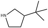 3-tert-Butylpyrrolidine Structure