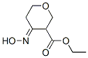 2H-Pyran-3-carboxylicacid,tetrahydro-4-(hydroxyimino)-,ethylester(9CI) Structure