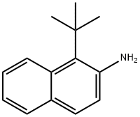 1-tert-부틸나프탈렌-2-아민 구조식 이미지