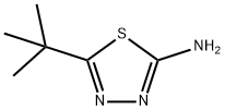 2-아미노-5-TERT-부틸-1,3,4-티아디아졸 구조식 이미지