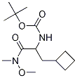 [1-(사이클로부틸메틸)-2-(메톡시메틸아미노)-2-옥소에틸]-카바믹산1,1-디메틸에틸에스테르 구조식 이미지