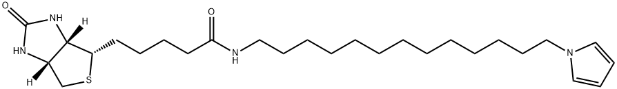 1H-Thieno[3,4-d]iMidazole-4-pentanaMide, hexahydro-2-oxo-N-[13-(1H-pyrrol-1-yl)tridecyl]-, (3aS,4S,6aR)- 구조식 이미지