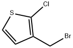 40032-81-3 2-Chloro-3-bromomethylthiophene