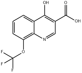 4-하이드록시-8-트리플루오로메톡시퀴놀린-3-카르복실산 구조식 이미지