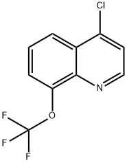 4-CHLORO-8-TRIFLUOROMETHOXYQUINOLINE Structure