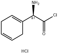 (R)-alpha-aminocyclohexa-1,4-diene-1-acetyl chloride hydrochloride  Structure