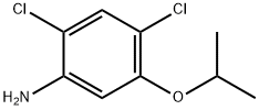 41200-96-8 2,4-DICHLORO-5-ISOPROPOXYANILINE